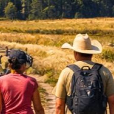 Wyoming Walkers